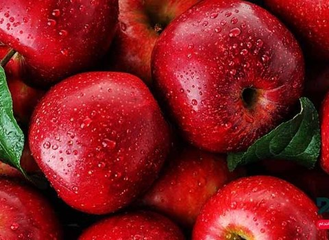 تصویر 3 از خرید و فروش سیب قرمز فرانسوی با شرایط فوق العاده
